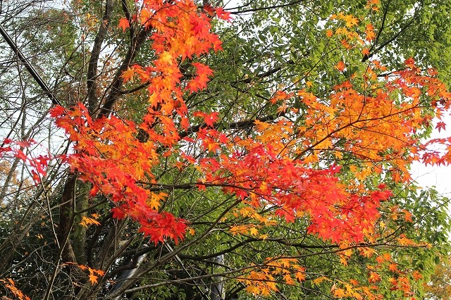 b0044663_23131215.jpg