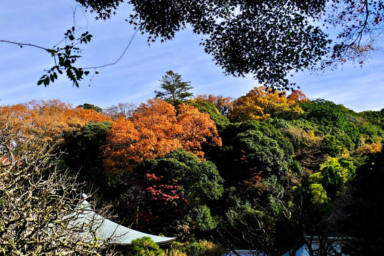 瑞泉寺（12月5日）_c0057265_18154683.jpg