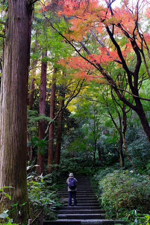 瑞泉寺（12月5日）_c0057265_1891542.jpg