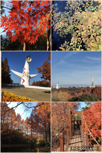 万博記念公園のソラード_e0136066_18520055.jpg