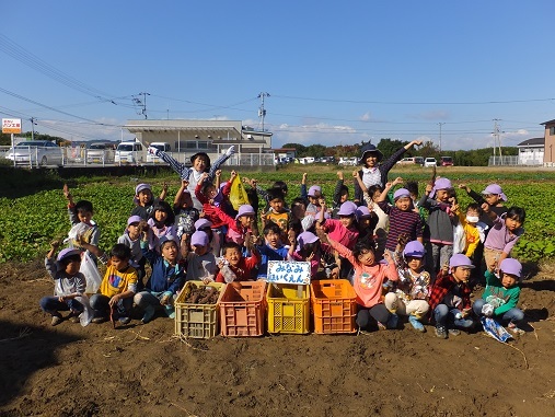 サツマイモのプレゼント大作戦2016_e0272869_22404965.jpg