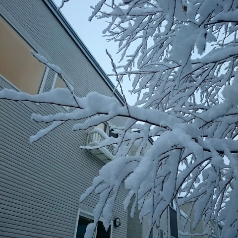 c0311170_09024187.jpg
