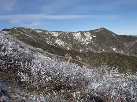 a0344771_16373035.jpg