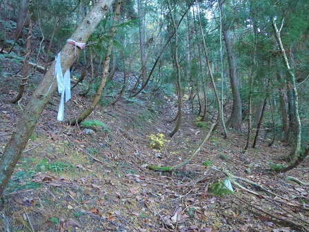 f0302771_15444160.jpg
