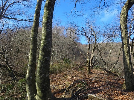 f0302771_15444778.jpg