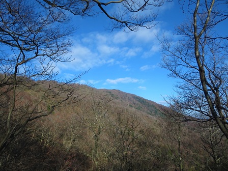 f0302771_15445273.jpg
