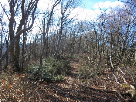 f0302771_15453420.jpg