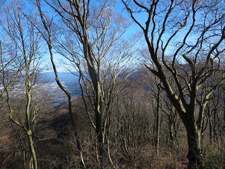 f0302771_1545380.jpg