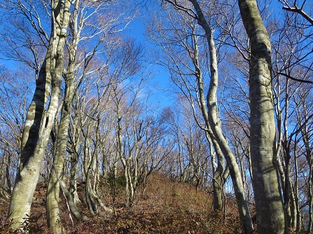 f0302771_15455191.jpg