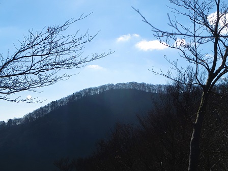 f0302771_1546057.jpg