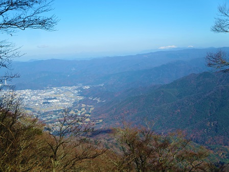 芦谷山　　冬枯れのブナ林_f0302771_15475561.jpg