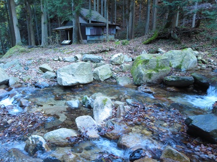 芦谷山　　冬枯れのブナ林_f0302771_15491592.jpg