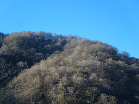 f0302771_1549938.jpg