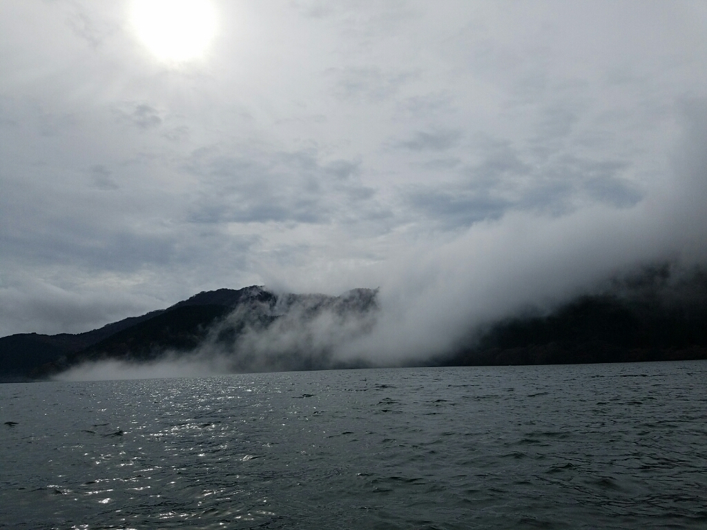 f0199881_20372579.jpg