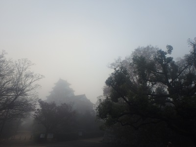 d0195183_04807.jpg