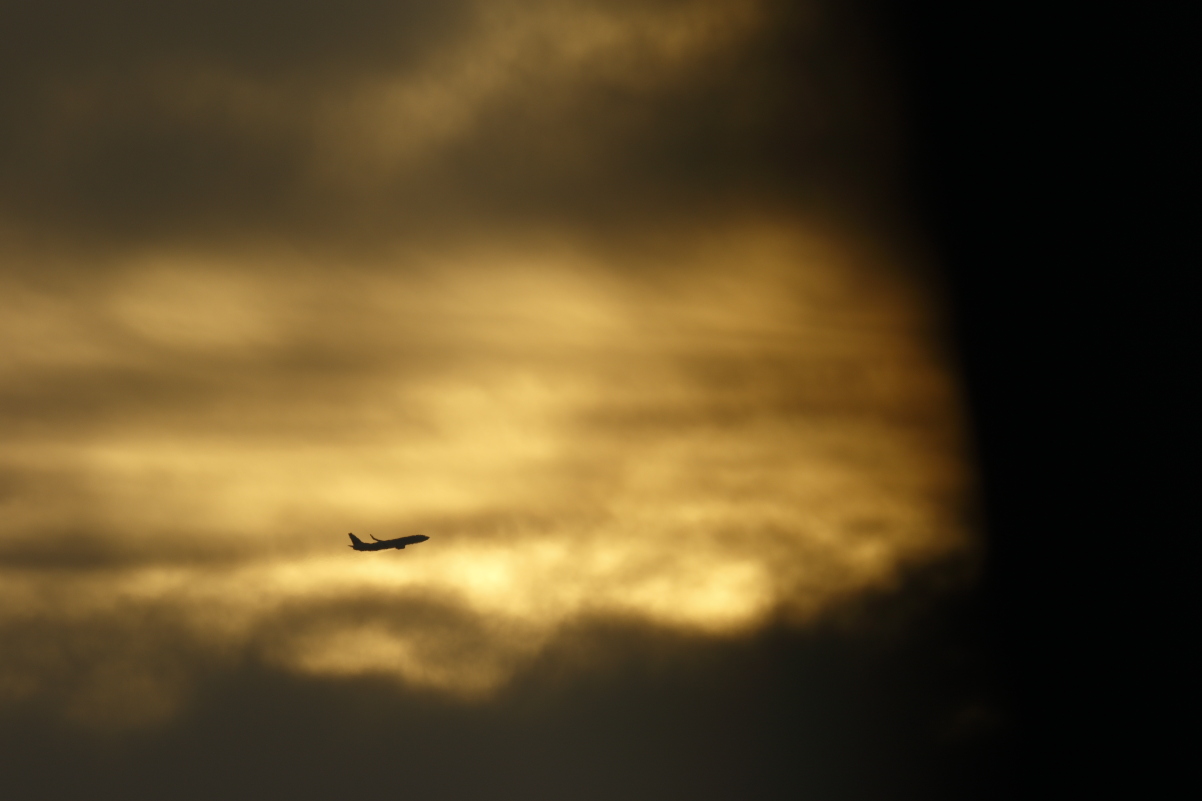 a0290990_2373725.jpg