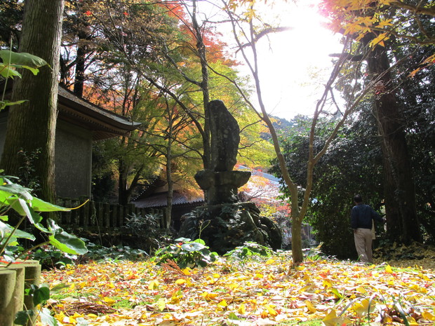 宇佐・国東半島～岩峰紅葉巡り　2016.12.5（月）_a0166196_20371651.jpg