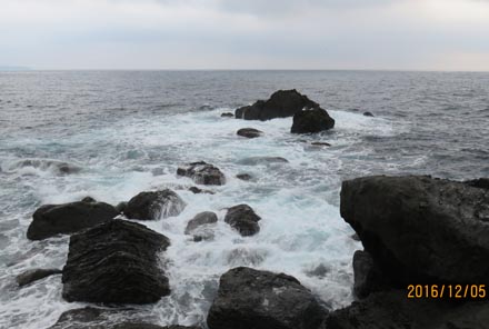 殿山クラブ有志熱川温泉散策_c0220597_5202890.jpg