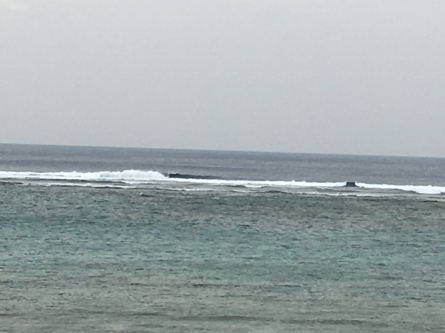 e0199297_14225217.jpg