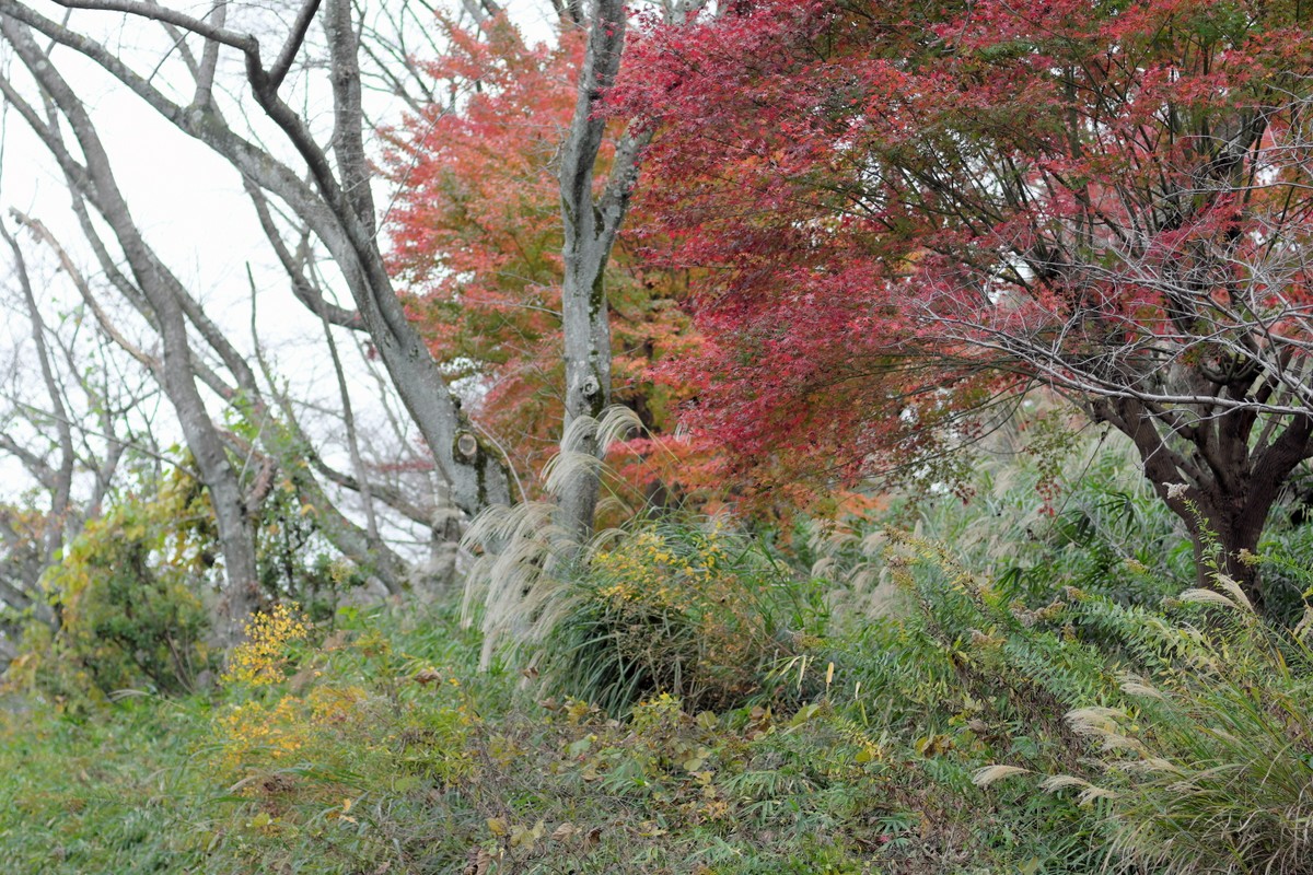 b0138101_19503455.jpg