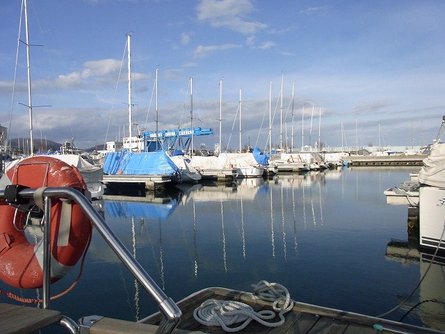 f0157901_19361641.jpg