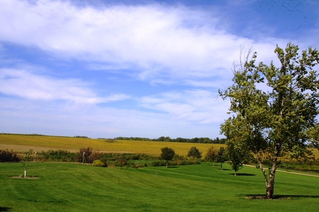 c0062603_04243996.jpg