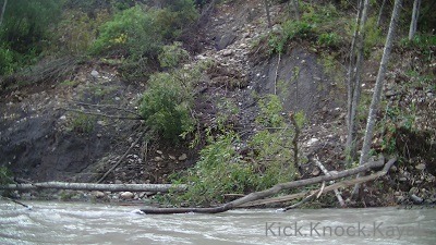 f0164003_1755493.jpg