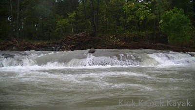 f0164003_18273937.jpg