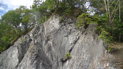 f0164003_2093666.jpg