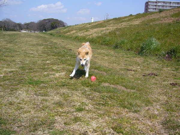 e0131506_10572938.jpg