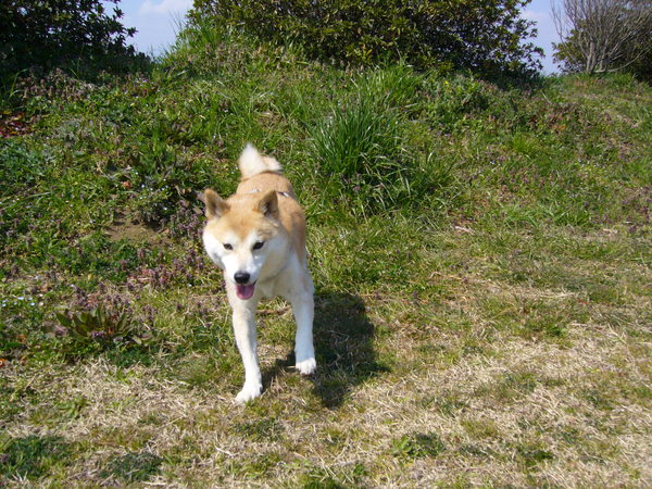 e0131506_10585338.jpg