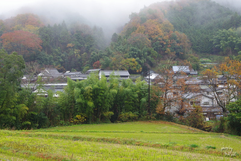 明日香稲渕　 雨の日は車窓から_d0342307_22570290.jpg