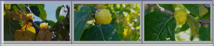 f0231709_21322756.png