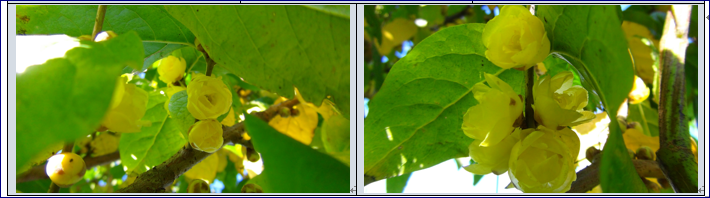 f0231709_2136138.png
