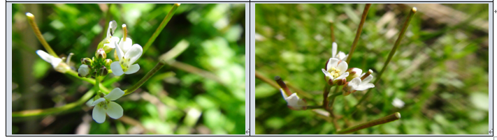 f0231709_21391518.png