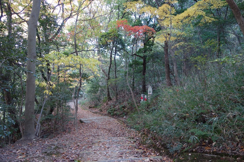 １２月７日(wed) 晴れ ／ 75番札所・善通寺にて.._a0059311_2135950.jpg