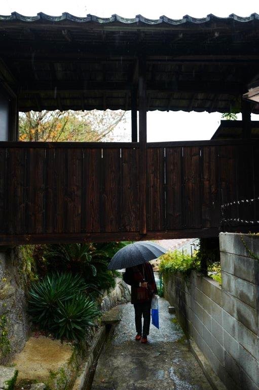 ❺雨の尾道七佛めぐり（　天寧寺へ路地歩き　）_f0365212_23122944.jpg