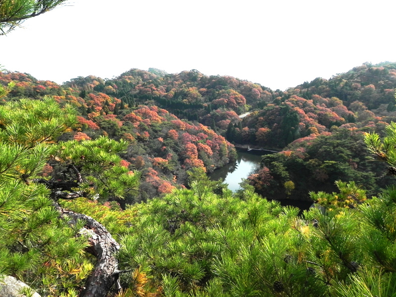 b0182613_12560897.jpg