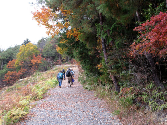 船山から京見峠・長谷川へ_e0048413_1604522.jpg