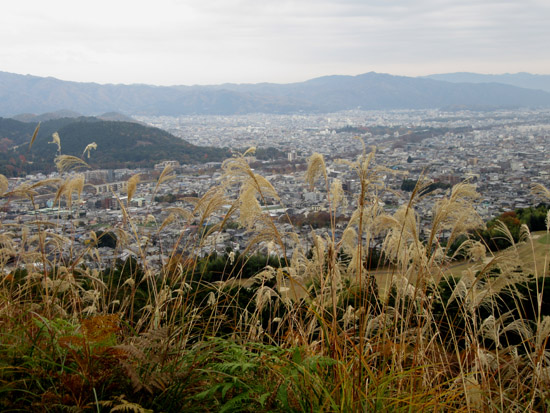 船山から京見峠・長谷川へ_e0048413_1613185.jpg