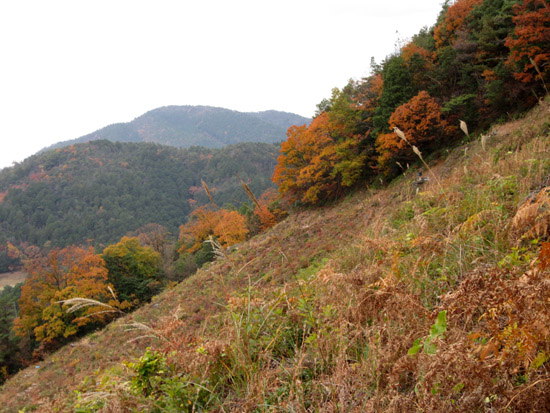 船山から京見峠・長谷川へ_e0048413_161732.jpg