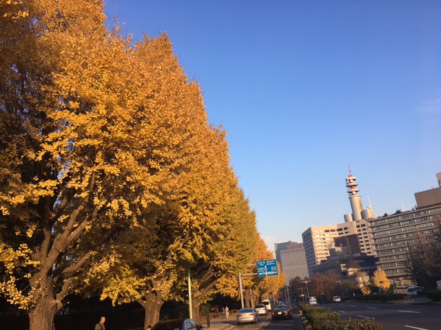 紅葉パトロール☆最終_f0101615_124426100.jpg