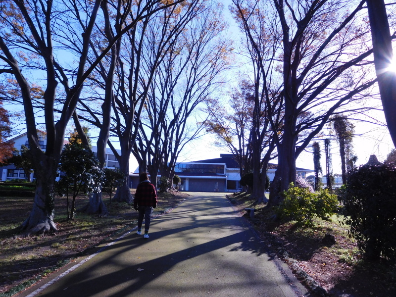 ミズム No,22o & 火遊びの巻_a0125419_21193352.jpg