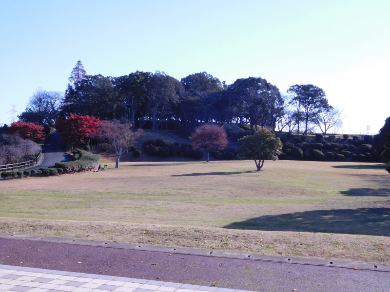 ミズム No,22o & 火遊びの巻_a0125419_21205410.jpg