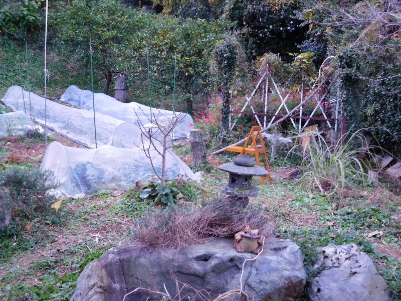 ミズム No,22o & 火遊びの巻_a0125419_21260638.jpg