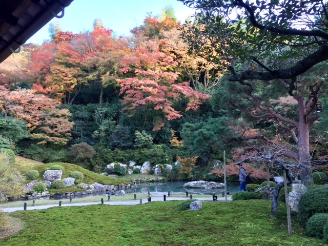 京都に行って来ました。 その3  青蓮院_e0059520_08100406.jpg