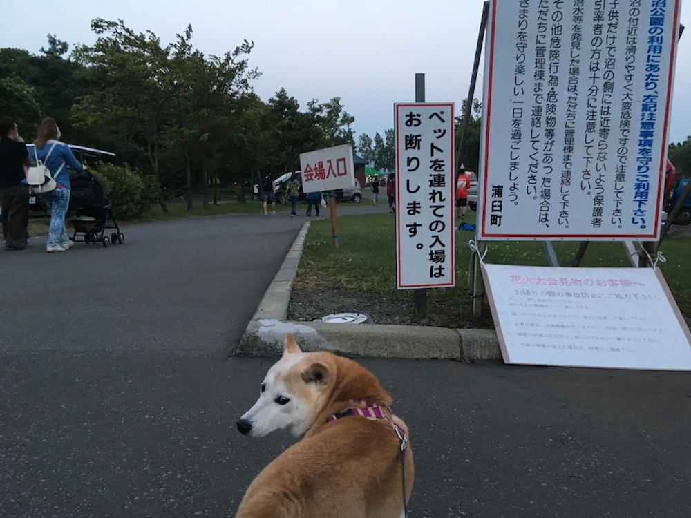 《今年の思いで》夏から秋の入り口へ_e0227023_13040647.jpg