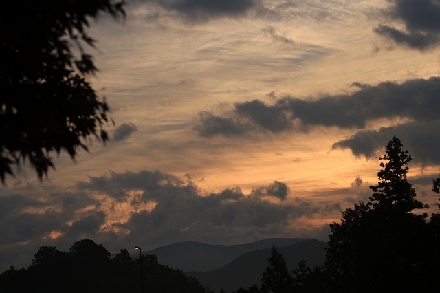 e0321325_1327476.jpg