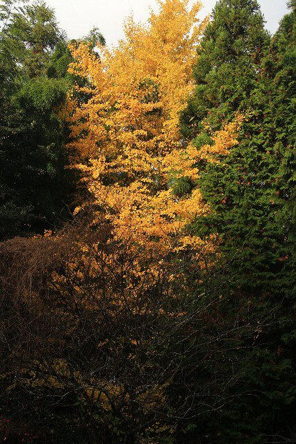e0321325_13365364.jpg