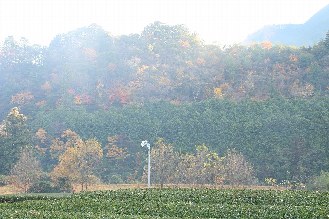 e0321325_13373490.jpg